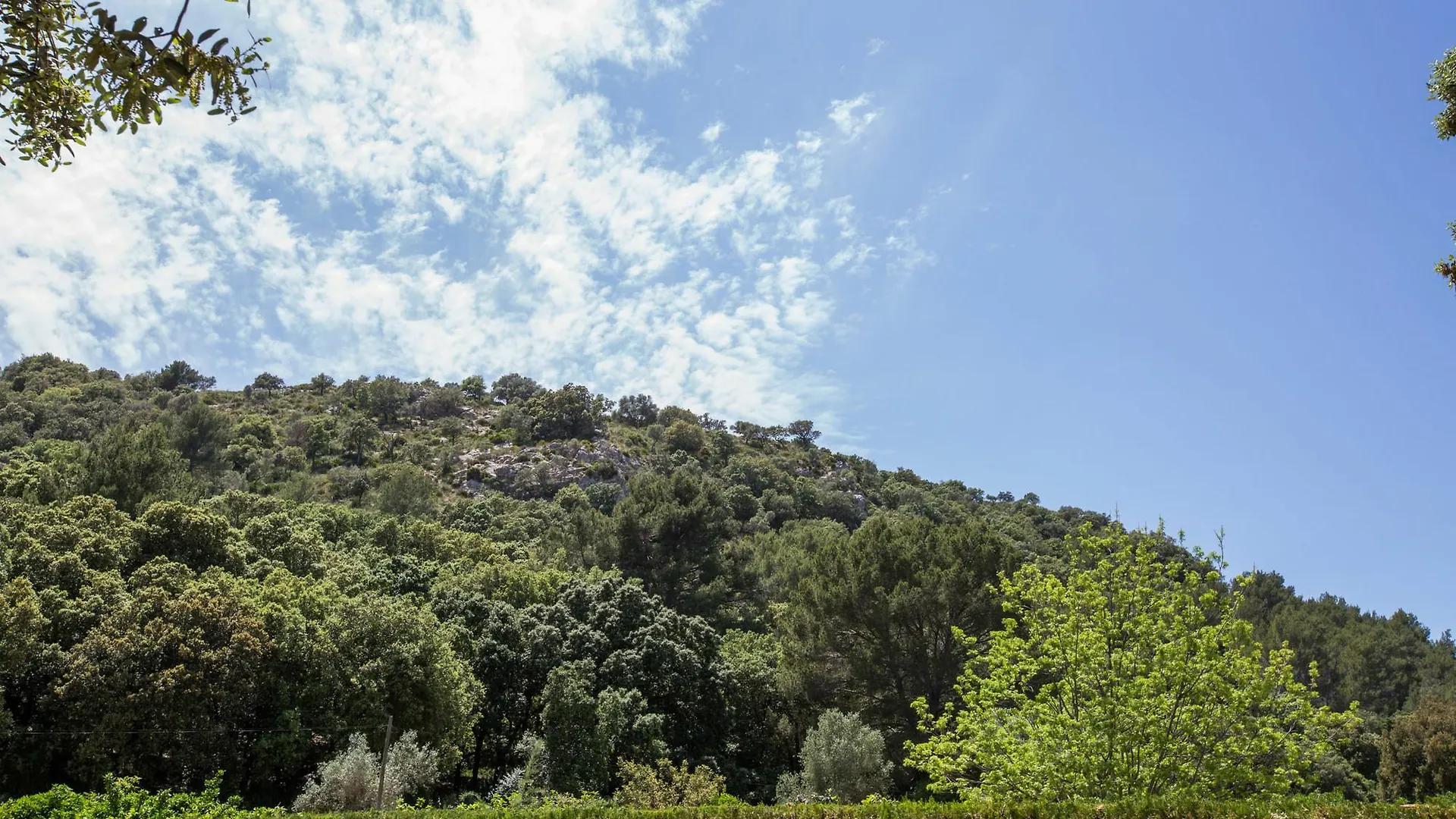Willa Can Torres Pollensa